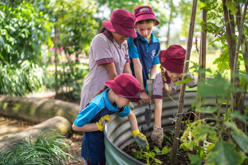 Principal's St Gerard Majella School, Woree